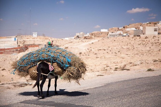 PRIVATE 2 day SAFARI (Ksar Ghilane and Atlas Mountains) from Jerba - Chebika, Ong Jemel, and the Atlas Mountains