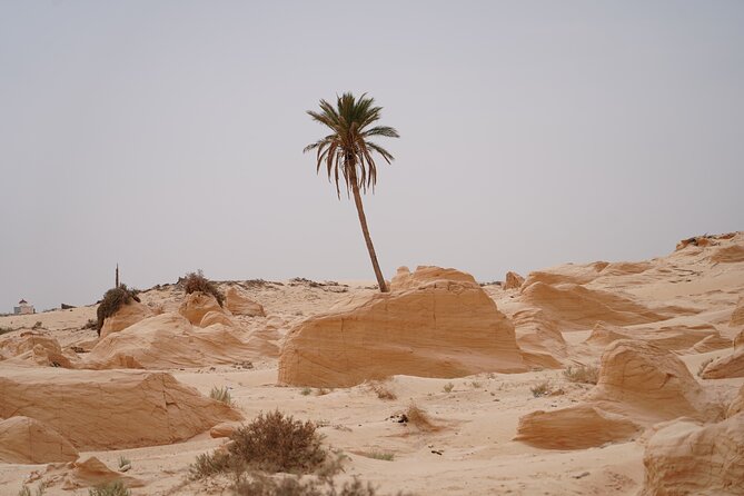 Private 3 Day Tour in Southern Tunisia or More - What the private format changes