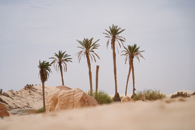 Private 3 Day Tour in Southern Tunisia or More - Who should book this Southern Tunisia tour?
