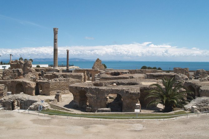 Private Day Tour Tunis Medina Carthage Sidi Bou Said Bardo Museum - Key points at a glance