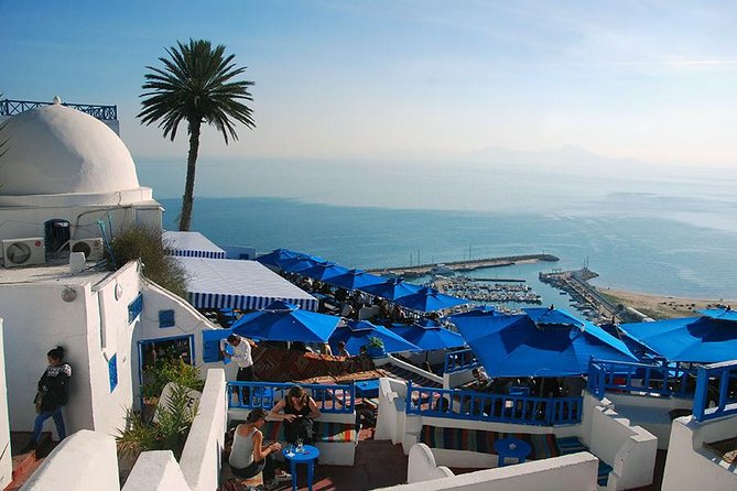 Private Day Tour Tunis Medina Carthage Sidi Bou Said Bardo Museum - Why this private Tunis tour works well