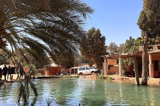 Private Day Trip Ksar Ghilane Oasis - Choosing between a camel and quad ride to Tisavar