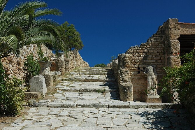 Private Day Trip Tunis Carthage Sidi Bou Said - What the guide adds to a packed day