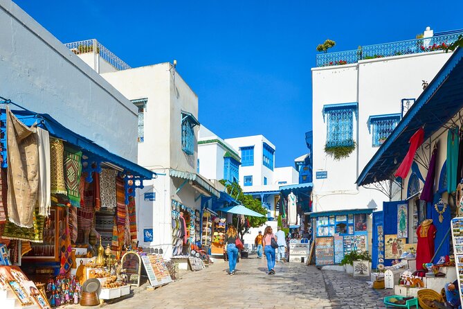Private Day Trip Tunis Carthage Sidi Bou Said - Who will enjoy this Tunis day trip most?