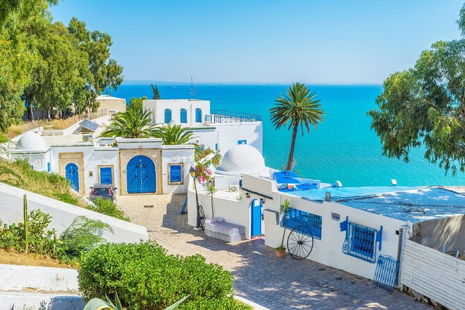 Private Day Trip Tunis Carthage Sidi Bou Said - Practical ways to make the day better