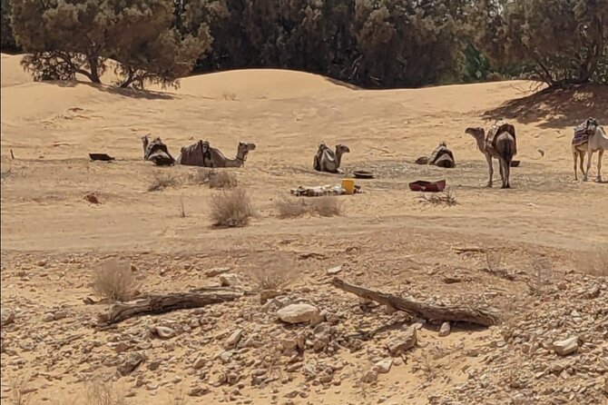 Private getaway in the desert like no other - Sunset and a Berber tent in Sabria