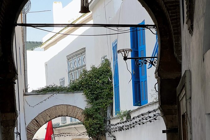 Private Group Day Tour Tunis Medina Carthage Sidi Bou Said - Guide quality and the value of private service