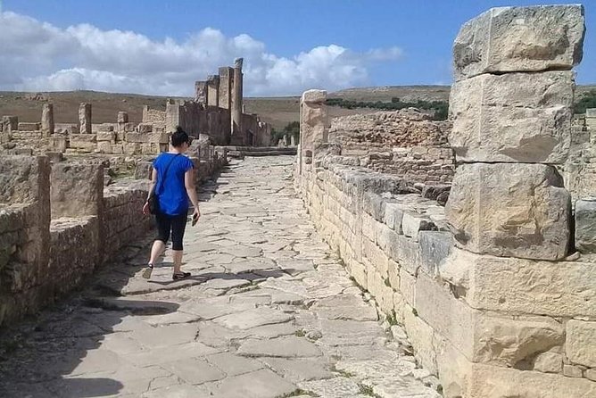 Private Guided Tour of Dougga and Testour Mosque - Transport from Tunis or Hammamet