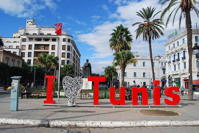 Private Half Day Tunis City Tour - The pickup question, especially for cruise passengers
