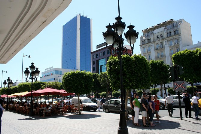 Private Half Day Tunis City Tour - Walking, weather, and what to bring