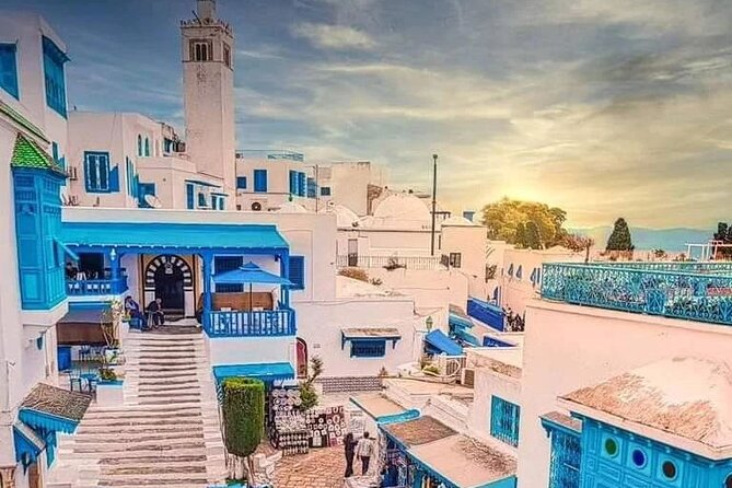 Private Tour Bardo Museum, Carthage, Sidi Bou Said and Medina - Why this Tunis day trip works