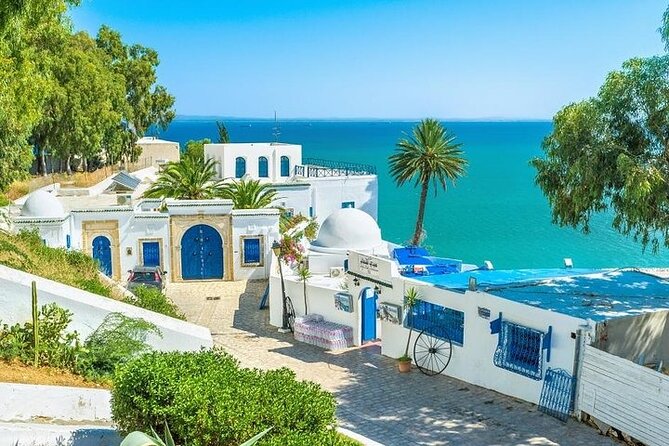 Private tour: Medina,Carthage ,Sidi Bou Said, Bardo Museum+lunch - Why this day trip works from Hammamet