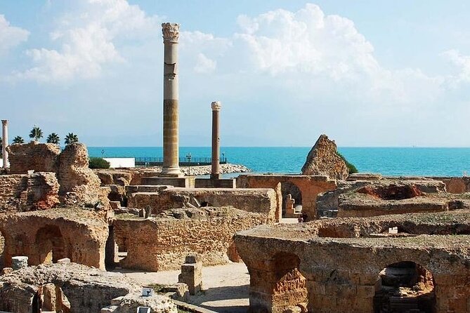 Private tour: Medina,Carthage ,Sidi Bou Said, Bardo Museum+lunch - Who should book this Tunis excursion?