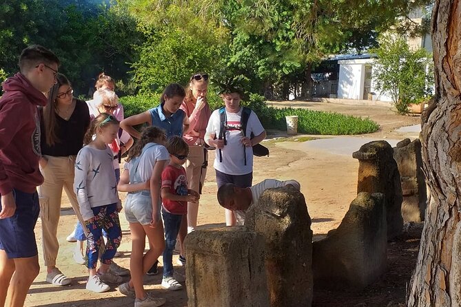 Private Walking Tour of Carthage Archaeological Site in Tunisia - Seeing the Punic Ports in 15 minutes