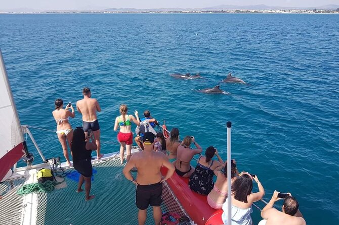 Sea Trip on Catamaran in Hammamet with Transfer - Leaving Hammamet for Yasmine Hammamet