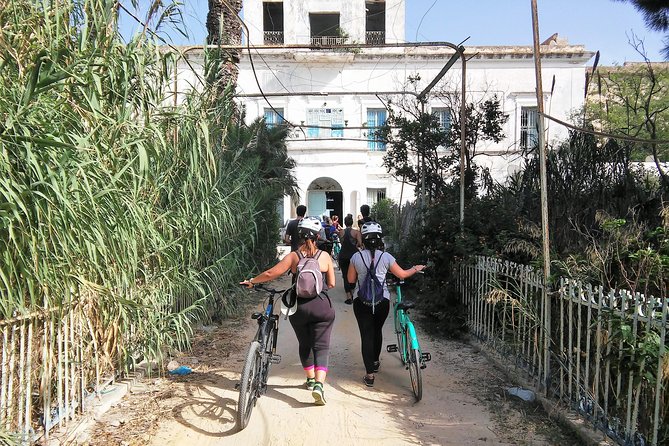 Self guided bike tour of Carthage archeological site - Allowing three hours for the main archaeological site