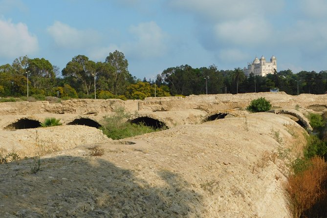 Self guided bike tour of Carthage archeological site - Roman Villas and Byrsa Hill