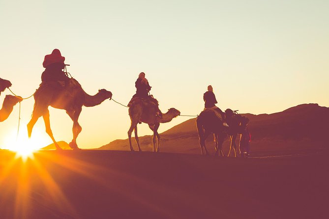 Sunset or Sunrise Camel ride in the Sahara Desert of Douz - Setting Out from Douz