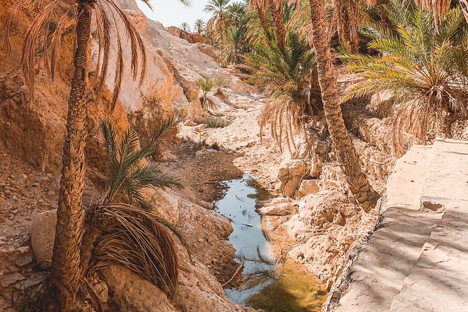 Tamerza, Chebika, Mides Canyons and Star Wars Full-Day Tour - Tamerza, the mountain oasis stop