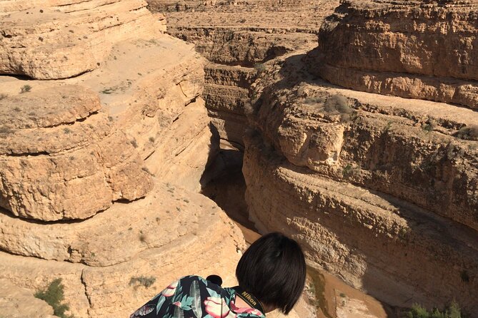 Tamerza, Chebika, Mides Canyons and Star Wars Full-Day Tour - Chebika and the appeal of an oasis setting