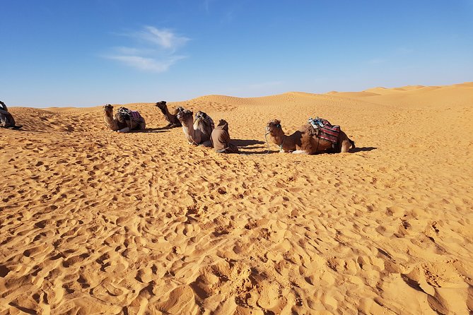 Tatouine - Cheneni - Ksar Ghuilaine - Matmata: 2 days visit - Quick take: what matters most