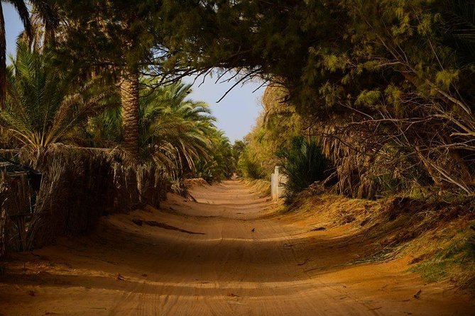 Tatouine - Cheneni - Ksar Ghuilaine - Matmata: 2 days visit - A short stop in Tataouine’s Souk Essaghir