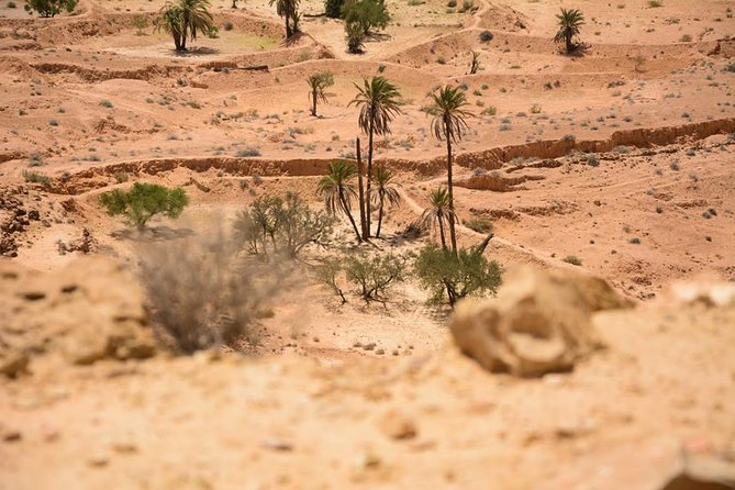 The three desert and mountain oases - Eating locally and sleeping in different places