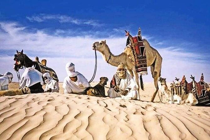 The Tunisian South between Oasis and Mountain: 3 Days / 2 Nights Douz and Tozeur - Should you book it?