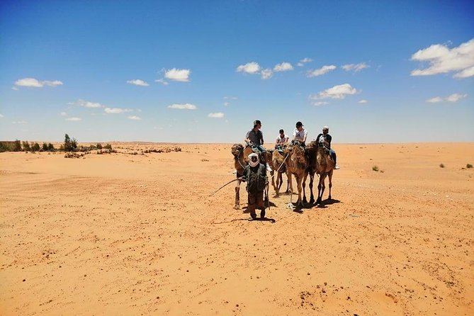 The Wonders of Tunisia: 8 days / 7 nights - The Erg, Reg, and Chotts: three very different deserts