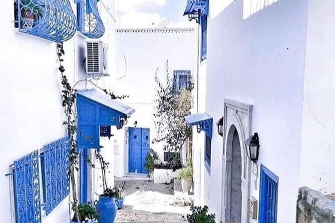 Tour of Tunis Carthage and Sidi Boussaid with local lunch - Key points at a glance