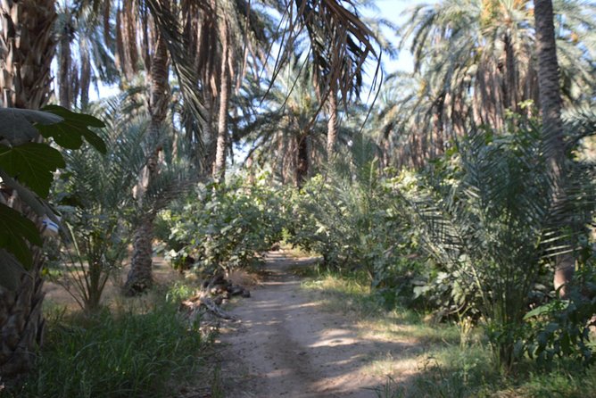 Tozeur and the mountain Oasis - Why this route earns three full days