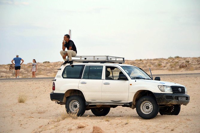Tozeur and the mountain Oasis - Chebika, Tamerza, and Mides