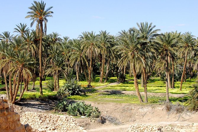 Tozeur and the mountain Oasis - What the $1,509.89 group price buys you