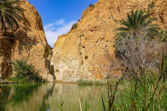 Tozeur Private Half-Day Tour: Tamerza, Chebika and Mides Canyons - Why these three oases make a strong half-day