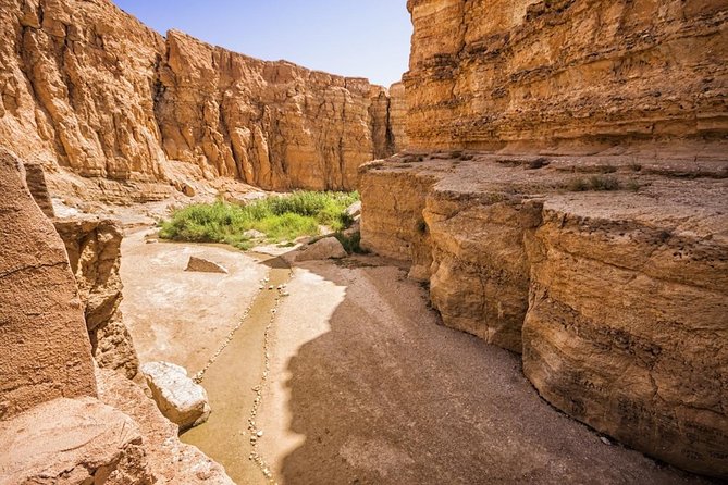 Tozeur Private Half-Day Tour: Tamerza, Chebika and Mides Canyons - Chebika is the wateriest and most playful stop