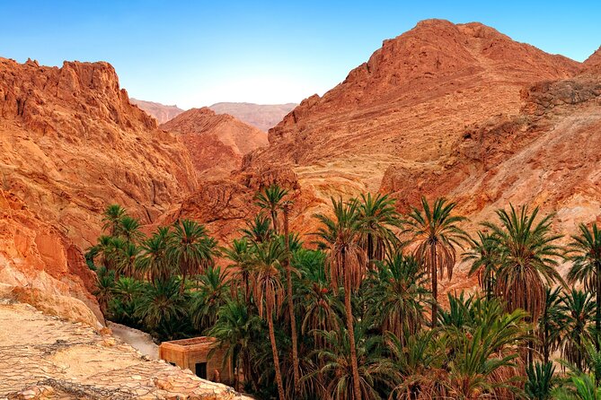 Tozeur Private Half-Day Tour: Tamerza, Chebika and Mides Canyons - Mides brings the biggest canyon views