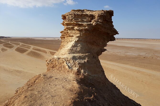 Tozeur: Tamerza, Chebika, Mides and Star Wars locations Day Tour - Why this makes sense from Tozeur
