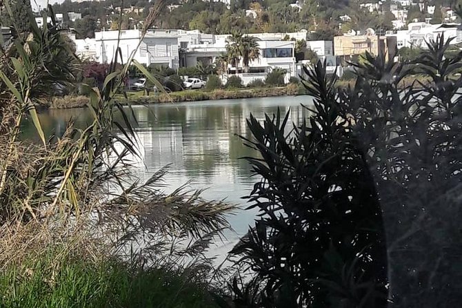 Tunis, Carthage and Sidi Bou Said Self-Guided Excursion from Hammamet - Tunis Medina and the souks