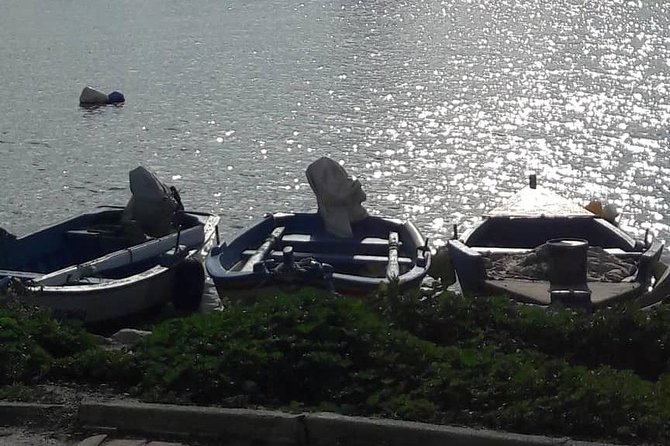 Tunis, Carthage and Sidi Bou Said Self-Guided Excursion from Hammamet - Walking among Carthage’s ancient remains