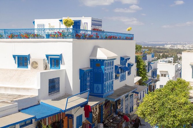 Tunis: Carthage, Bardo Museum, Sidi Bou Said & Medina Group Tour - The Baths of Antoninus and Roman engineering