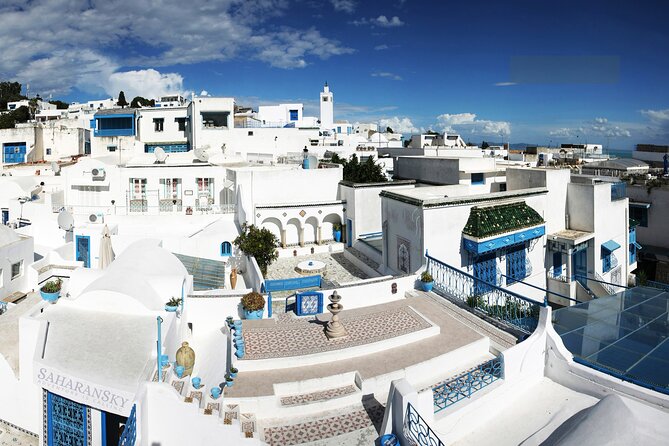 Tunis Group Tour: Carthage, Sidi Bou Said, Bardo museum & Medina - What the $99 price really covers