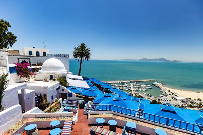 Tunis Group Tour: Carthage, Sidi Bou Said, Bardo museum & Medina - Timing, transport, and group size