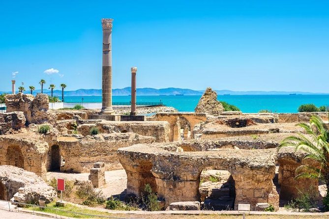 Tunis Group Tour: Carthage, Sidi Bou Said, Bardo museum & Medina - Carthage: two hours among Punic ruins