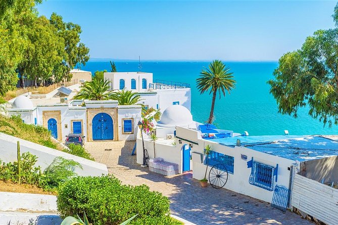 Tunis, Sidi Bousaid and Carthage day trip from Hammamet - Carthage: ruins with a view