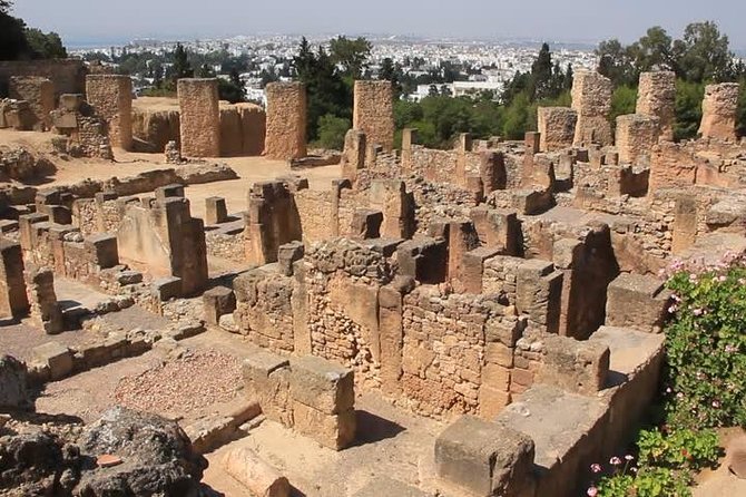 Tunis, Sidi Bousaid and Carthage day trip from Hammamet - Why the small group changes the day