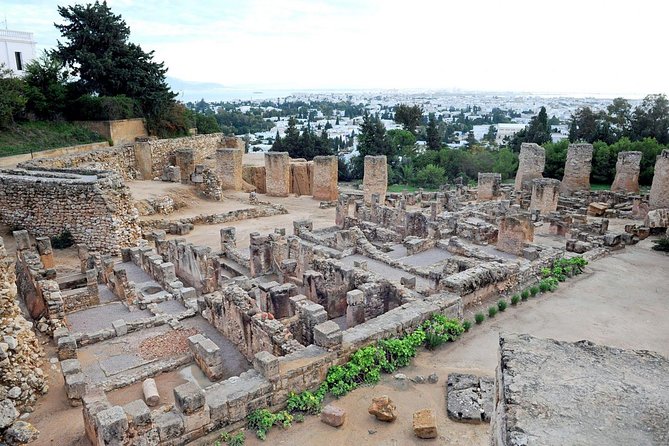 Tunis, Sidi Bousaid and Carthage Day Trip from Monastir - What the $116.13 price includes