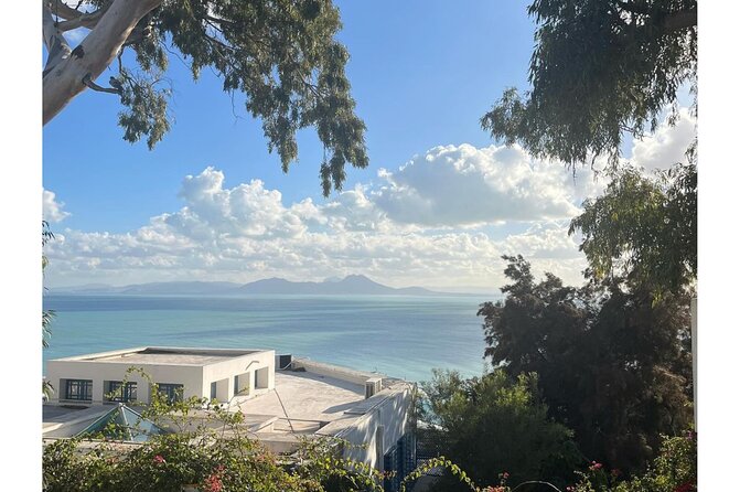 VIP Tour: Tunis Medina/Bardo, Sidi Bou Said, Carthage |PICKUP ALL - Sidi Bou Said and the famous blue and white streets