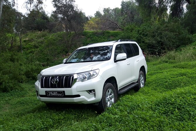VIP transfer between Tunis Carthage Airport and a hotel in Tunis - What is especially strong about the service