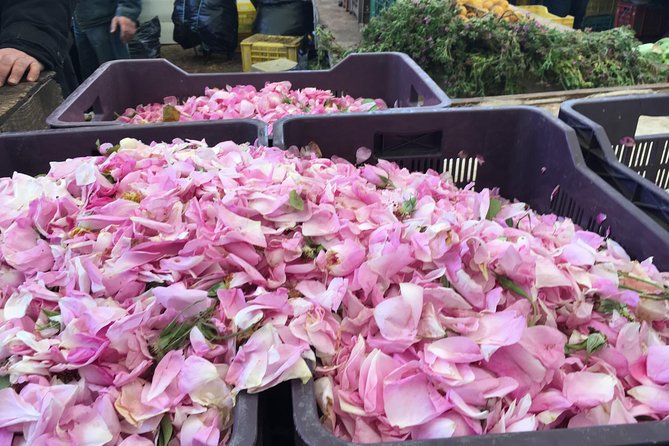 Walking City Tour - Central Market and Fondouk El Ghala